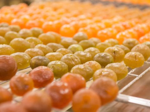 Camping Le Luberon | Pausado - Camping Vaucluse - Image N°38