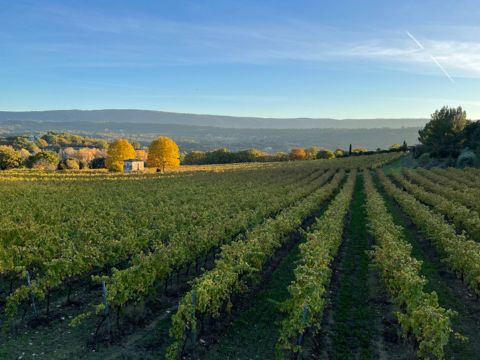 Camping Le Luberon | Pausado - Camping Vaucluse - Image N°35