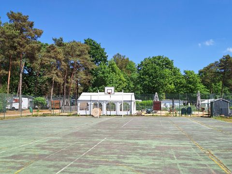 Tente en toile et en bois 4 personnes - Tente safari