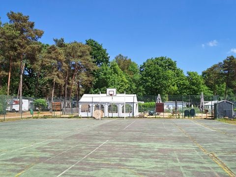 TENTE TOILE ET BOIS 4 personnes - Tente safari