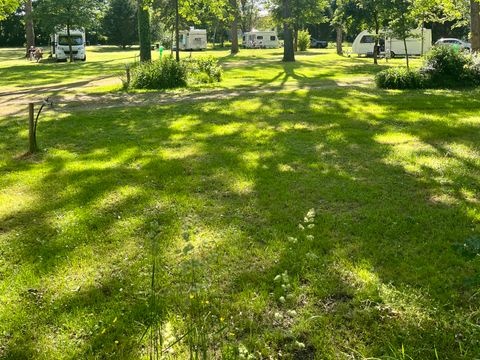 Camping Sunelia l'Etang de Sologne - Camping Loir-et-Cher - Image N°36