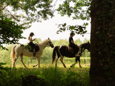 Camping Sunelia l'Etang de Sologne - Camping Loir-et-Cher - Image N°28