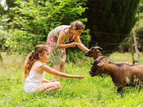 Camping Sunelia l'Etang de Sologne - Camping Loir-et-Cher