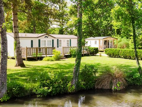 Camping Sunelia l'Etang de Sologne - Camping Loir-et-Cher - Image N°33