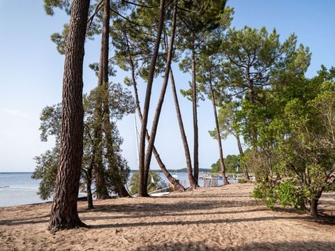  Camping Le Tedey - Camping Gironde - Image N°3