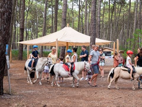  Camping Le Tedey - Camping Gironde