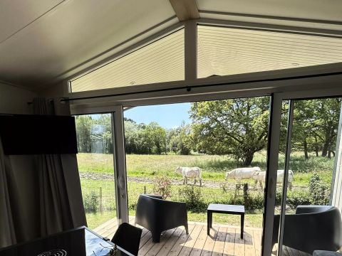 MOBILHOME 4 personnes - Mobil-Home PRESTIGE 3 Pièces 4 Personnes + TV