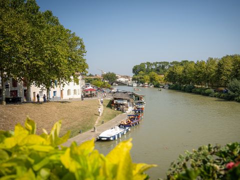 Aux 4 vues - Camping Aude - Image N°19