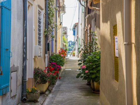 Aux 4 vues - Camping Aude - Image N°14