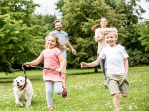 Floreal Holidays Camping Het Veen - Camping Flandre Occidentale - Image N°3