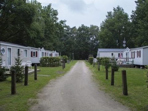 Floreal Holidays Camping Het Veen - Camping Flandre Occidentale - Image N°5