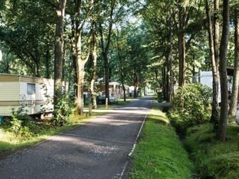 Floreal Holidays Camping Het Veen - Camping Flandre Occidentale - Image N°4