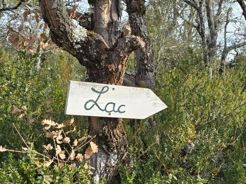 Camping Verdon les Grands Domaines - Camping Alpes-de-Haute-Provence - Afbeelding N°3