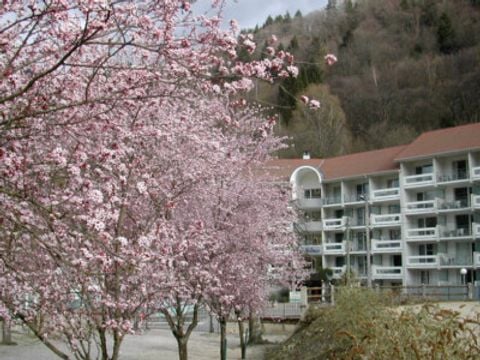 Résidence les Silènes - Camping Isère - Image N°3