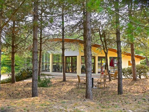 Nature et vacances Camping Cristal D'Opale - Camping Pas-de-Calais - Image N°13