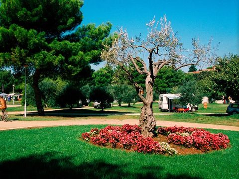 Camping Koversada Park Camping Resort - Camping Istrie - Image N°9