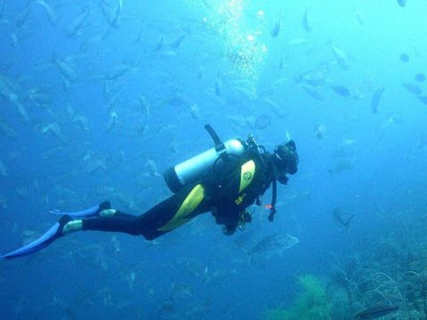 Naturist Camping Solaris - Camping Istrie - Image N°17