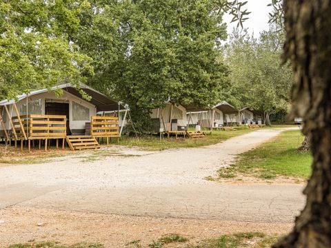 TENTE TOILE ET BOIS 5 personnes - Naturist Solaris - Tente Safari de luxe