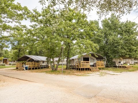 TENTE TOILE ET BOIS 5 personnes - Naturist Solaris - Tente Safari de luxe