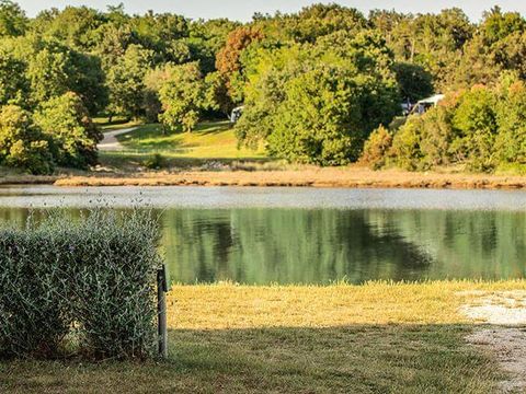 Naturist Camping Solaris - Camping Istrie - Image N°8