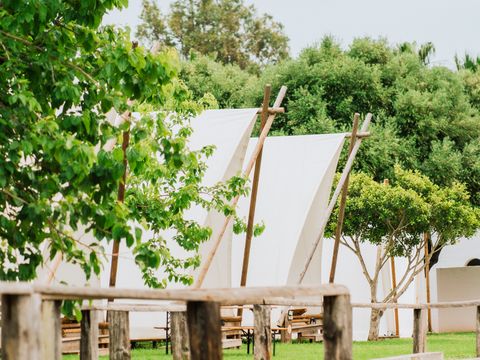 Tente en toile et en bois 4 personnes - OASIS TENT