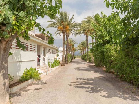 Camping 3 Estrellas - Camping Castellón - Image N°10