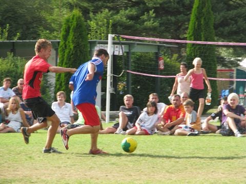 Camping Solaire du Petit Buech - Camping Hautes-Alpes - Image N°5