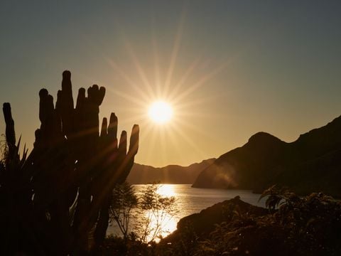 TAIGA Costa Calida - Camping Murcia - Image N°20