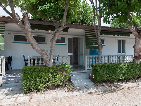 APPARTEMENT 4 personnes - Bungalow Superior Maxi - Animaux autorisés