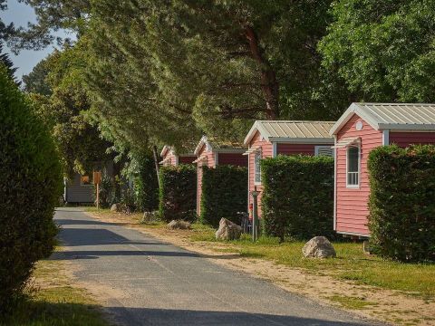  Tour Operateur et particuliers sur camping La Pinède Les Mathes - Funpass non inclus - Camping Charente-Maritime - Image N°27