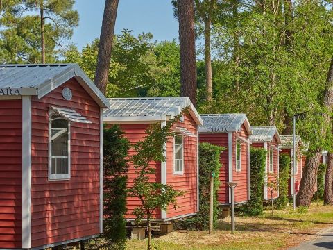  Tour Operateur et particuliers sur camping La Pinède Les Mathes - Funpass non inclus - Camping Charente-Maritime - Image N°26
