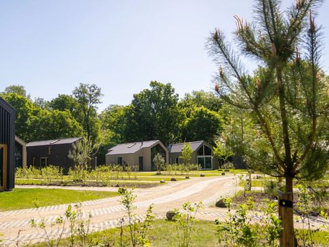 Landal Olde Kottink - Camping Beuningen - Image N°16