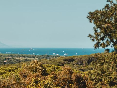 Camping Ladouceur - Ramatuelle Saint Tropez - Camping Var - Image N°6