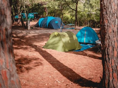 Camping Ladouceur - Ramatuelle Saint Tropez - Camping Varo - Image N°4