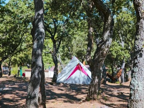 Camping Ladouceur - Ramatuelle Saint Tropez - Camping Varo - Image N°3