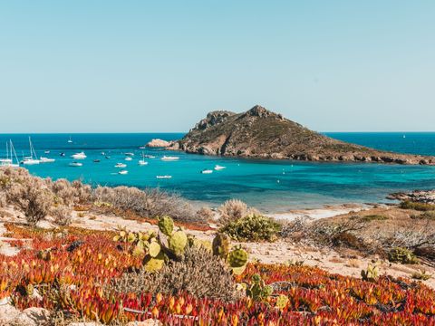 Camping Ladouceur - Ramatuelle Saint Tropez - Camping Var - Image N°11