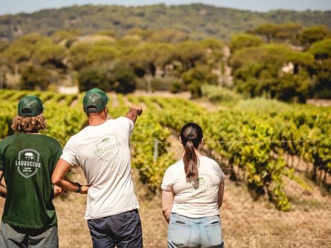 Camping Ladouceur - Ramatuelle Saint Tropez - Camping Varo