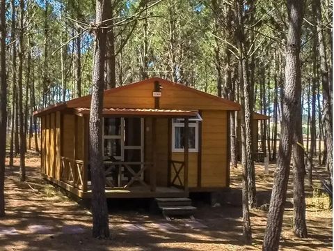 BUNGALOW 2 personnes - Bungalow Basic Couple