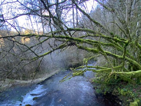 Camping des deux Séquoias - Camping Aveyron - Image N°27