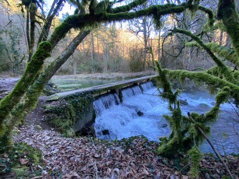 Camping des deux Séquoias - Camping Aveyron - Image N°25