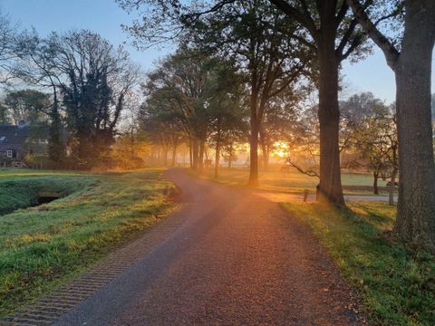  Charmecamping & Appartementen De Regge-Vallei  - Camping Twenteret - Image N°37