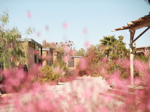 Camping Blendin Retreat Agde - Camping Hérault - Image N°10