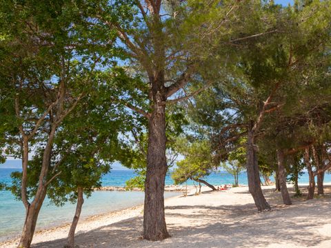 Aminess Style Atea Camping Resort - Camping Istrie - Image N°46