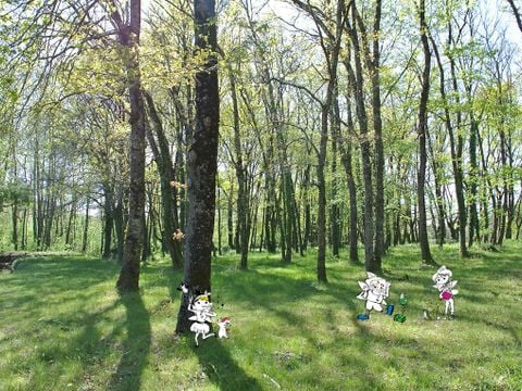 Camping Les Fées du Moulin - Camping Tarn - Image N°4