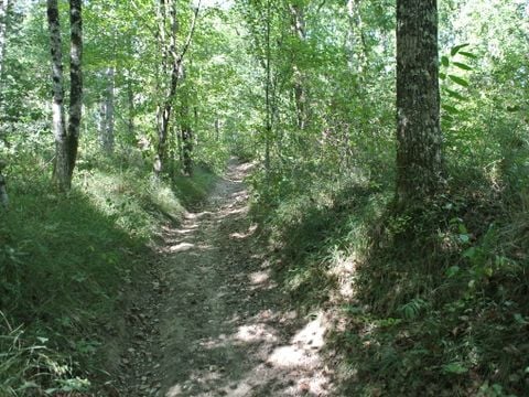 Camping Les Fées du Moulin - Camping Tarn