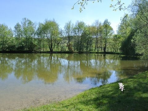 Camping Les Fées du Moulin - Camping Tarn - Image N°5