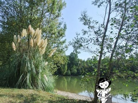 Camping Les Fées du Moulin - Camping Tarn - Image N°2