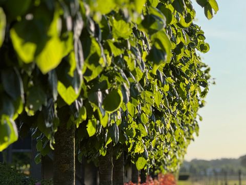 TENTE 2 personnes - Tente cloche