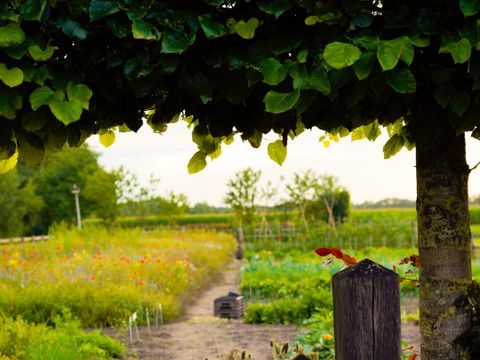 MAISON 12 personnes - 't Gasthuys