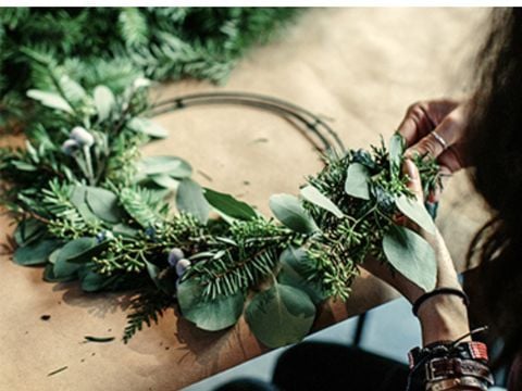 Thuysgrond - Camping Bergeijk - Afbeelding N°2